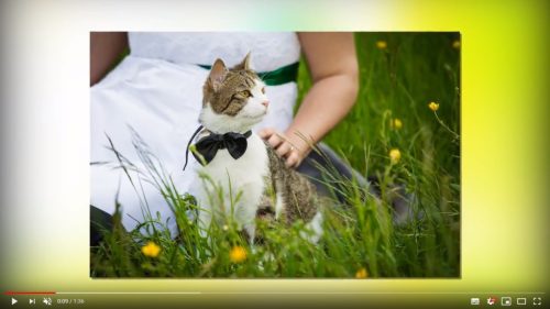 Slideshow Gold csomag
