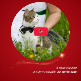 Slideshow Bronz csomag