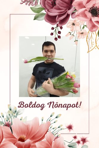 Mályva köszöntőkártya