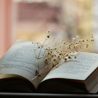 Irat- könyv szkennelés