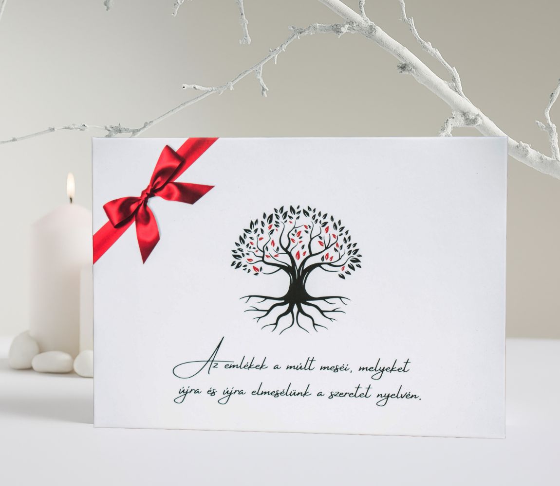 Momentory termékfotó 3